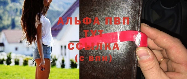 индика Алексин