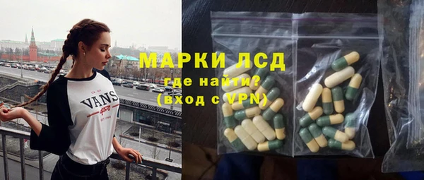 индика Алексин